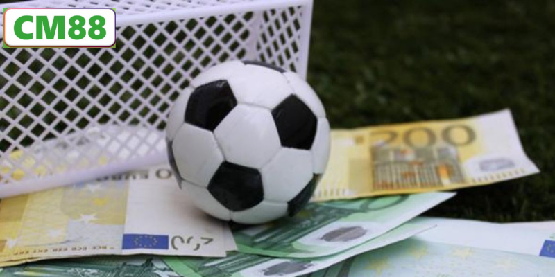 Cá độ bóng bàn là gì