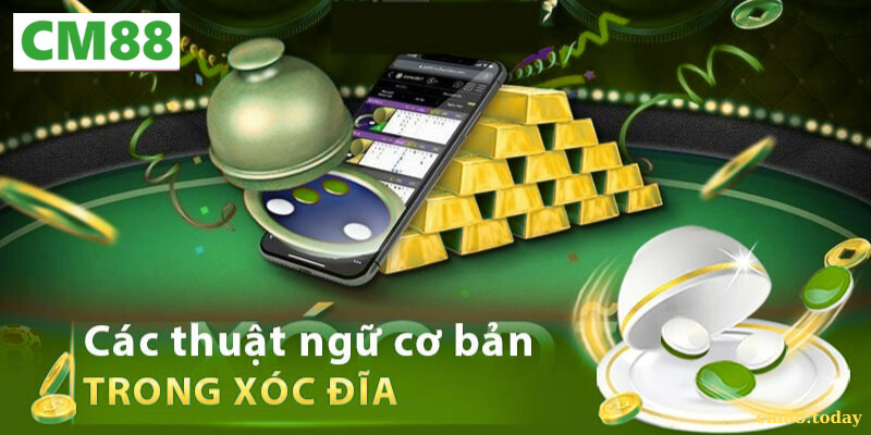 Một số lưu ý khi học và áp dụng thuật ngữ